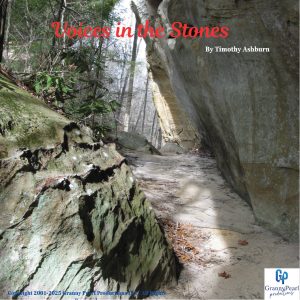 Track 17 – Voices in the Stones